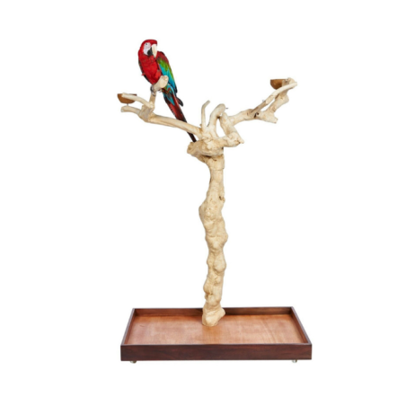 Arbol de java para loros JAVA TREE BM